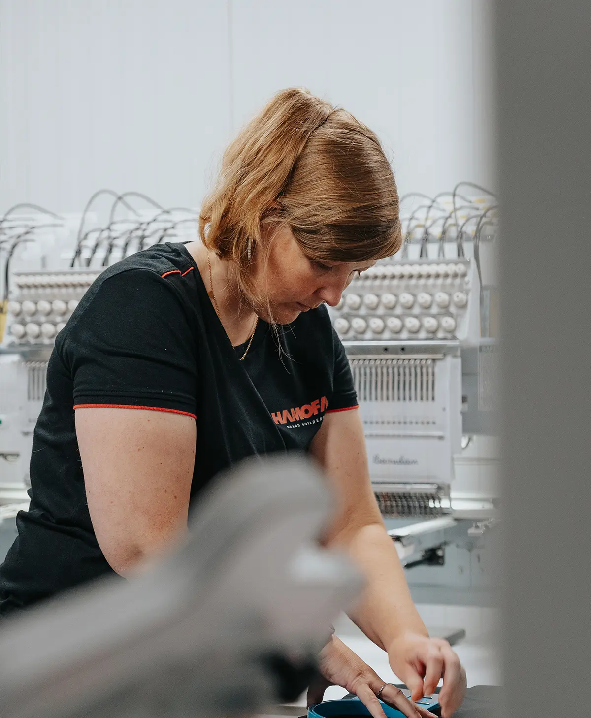 Lieze - Textile & Embroidery Pro