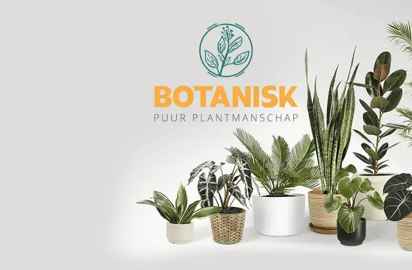 Het succesverhaal van Botanisk en Hamofa Brand Builders
