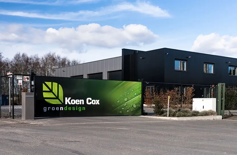 Het succesverhaal van Koen Cox en Hamofa Brand Builders