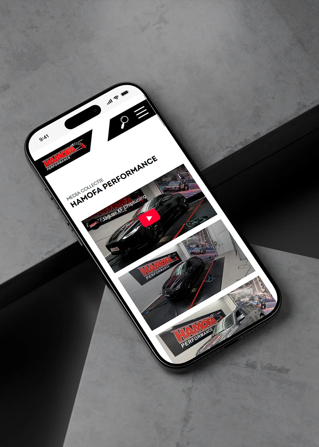 logo, Hamofa Performance