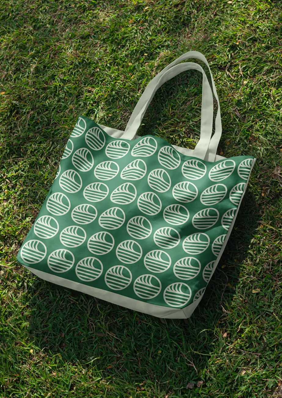 web development Laenen