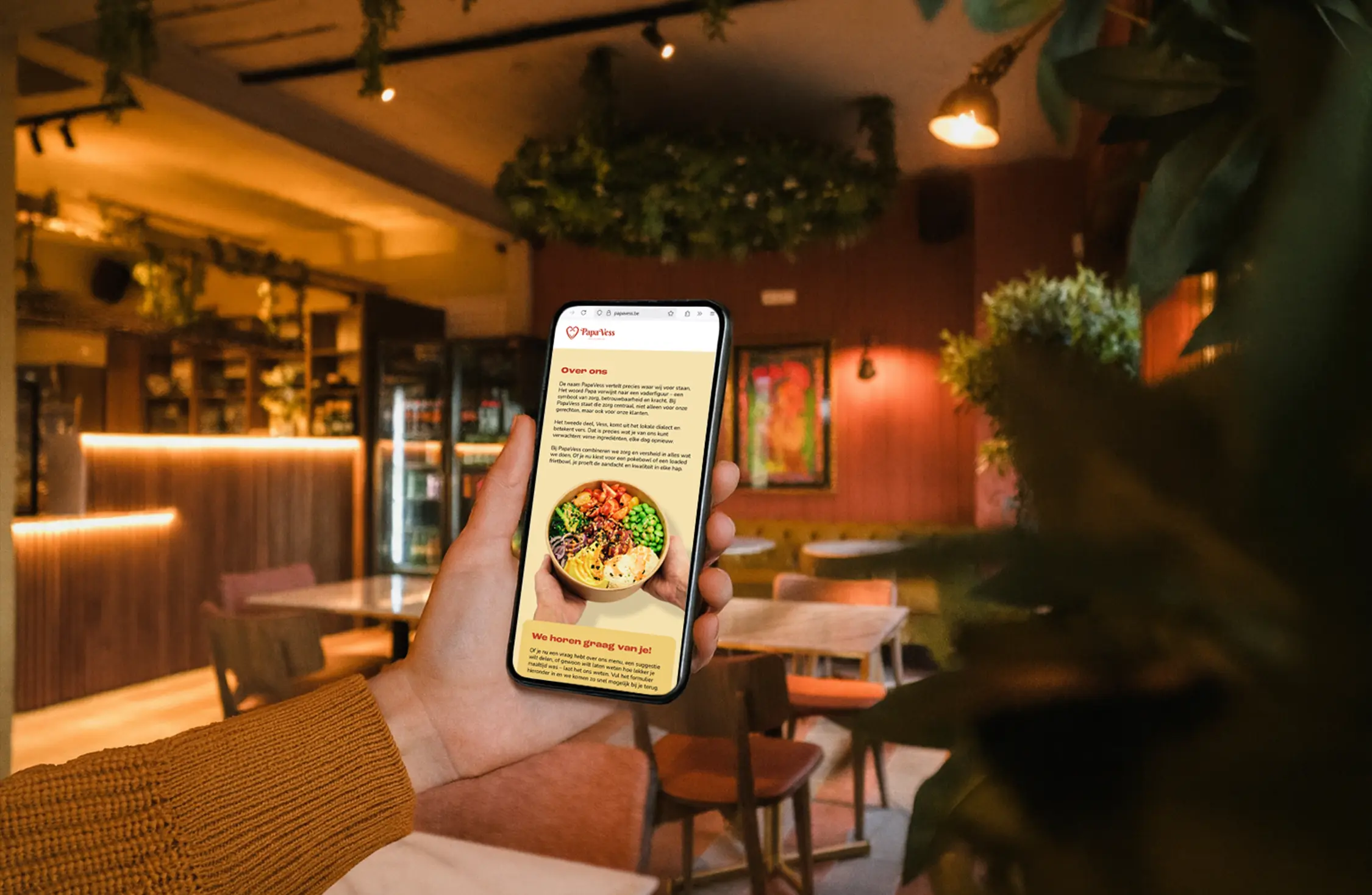 web development Papavess