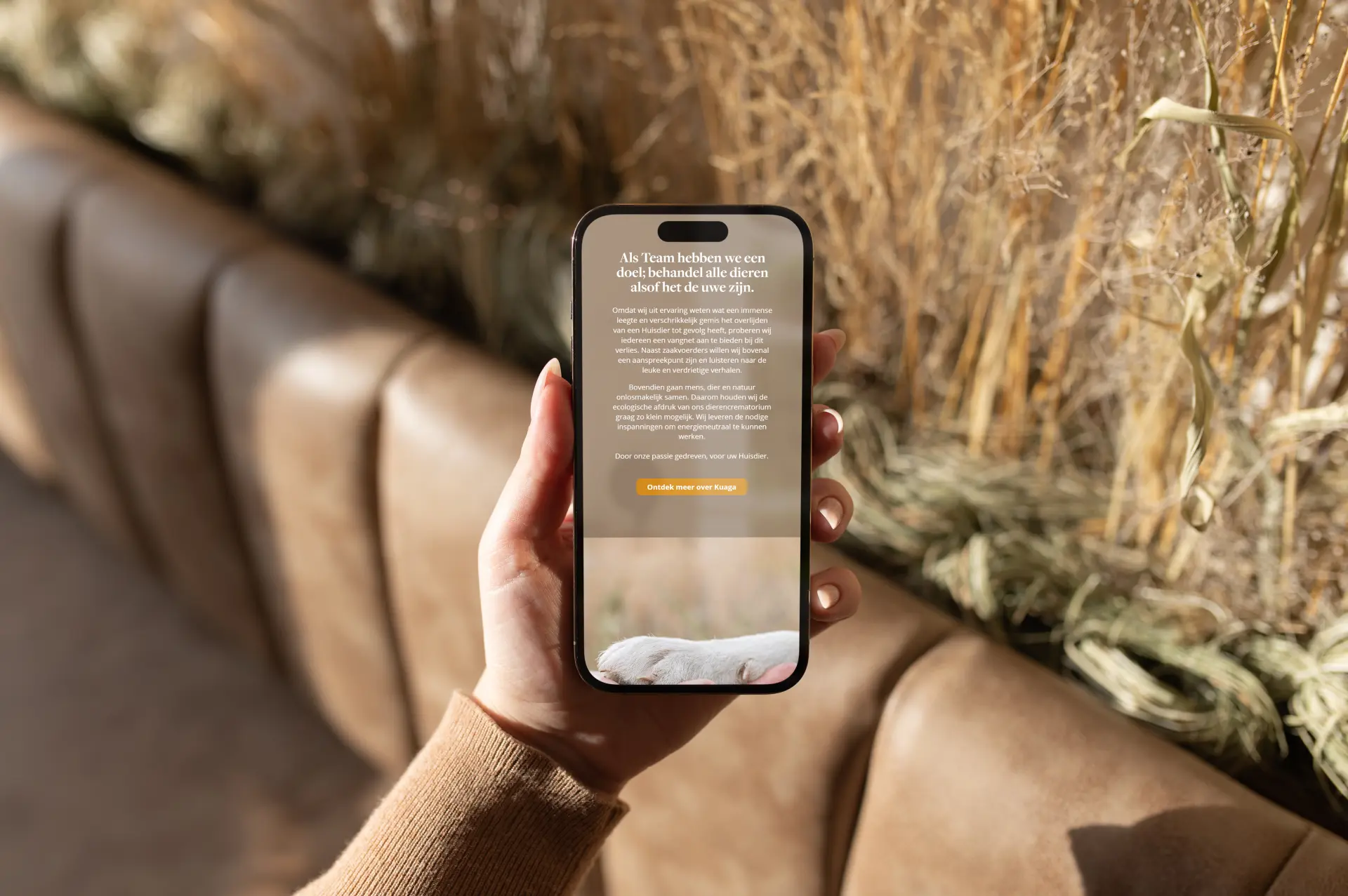 Inspiration by Hamofa Brand Builders